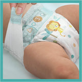 Pampers bleer til babyer str. 5 (11-16 kg), 24 stykker, op til 12 timers lækagebeskyttelse
