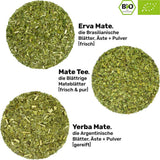 Mate Bio tesæt ● 3 sortimenter af Mate + Dobbeltvægget Mate-krus i rustfrit stål + Bombilla + Brygningsinstruktioner (sort)