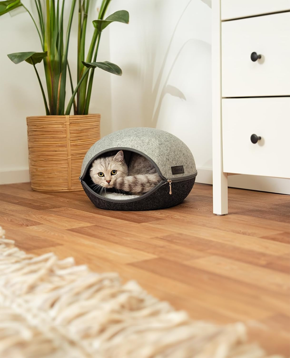 Tæpper og møbler, kæledyr, huler og huse, katte, senge til katte, katte - senge, madrasser