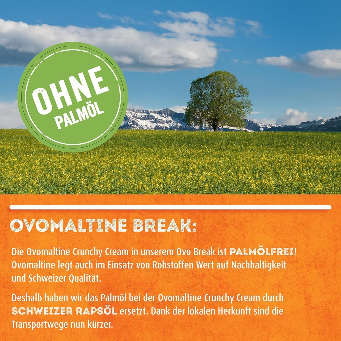 Ovomaltine OVO BREAK Wafer and Chocolate Bar - en sprød snack med den umiskendelige smag af vores populære Creme Crocante, naturligt uden palmeolie (4 x 39 g)
