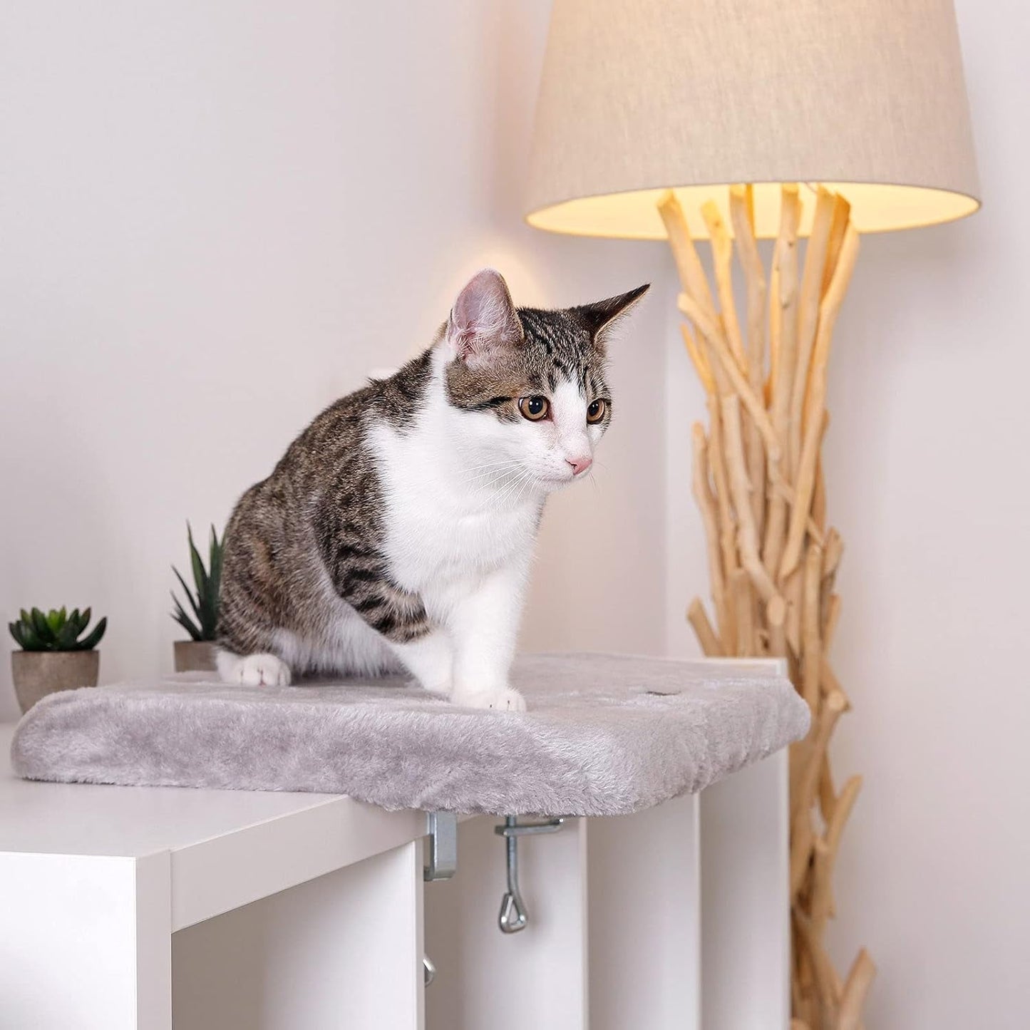 Tæpper og møbler, vinduessæder, kæledyr, katte, senge til katte, katte - senge, madrasser