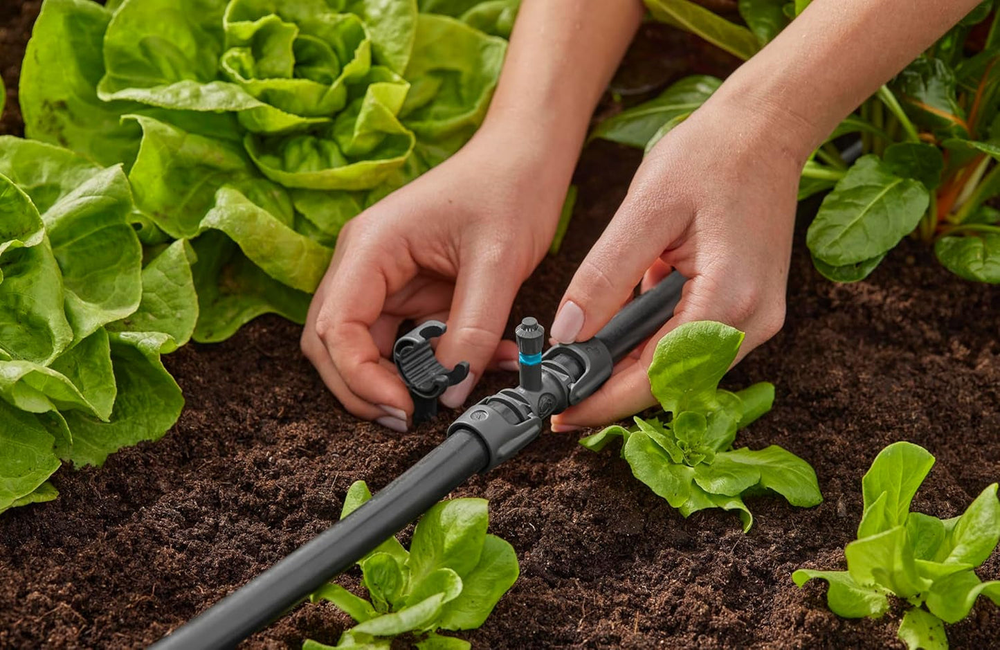 Gardena Micro-Drip-System T-stykke til sprøjtedyser: Forbindelse mellem 13 mm rør og en sprøjtedyse, automatisk plantevanding, hurtig og nem tilslutningsteknologi, genanvendelig (13206-20)