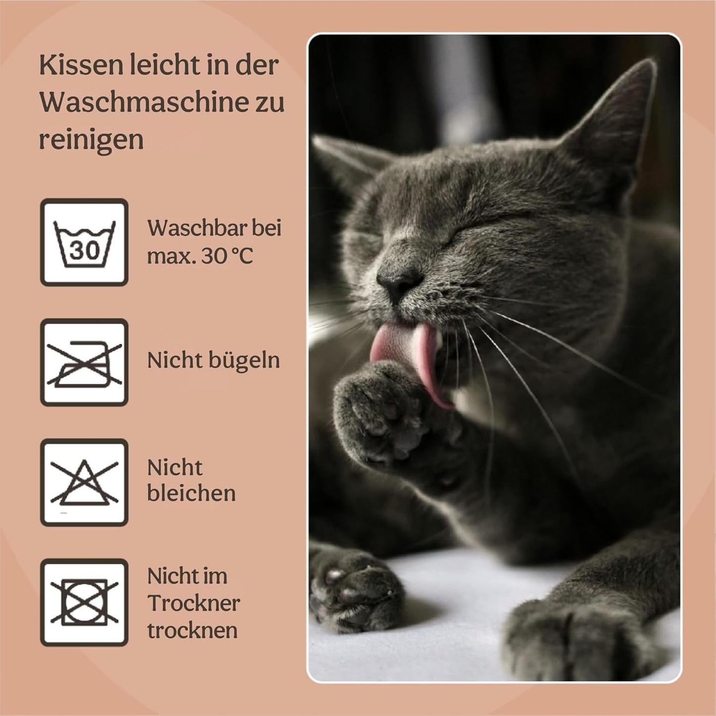 Senge, tæpper & møbler, kæledyr, katte, kattesenge, Katte - senge, madrasser