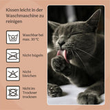 Senge, tæpper & møbler, kæledyr, katte, kattesenge, Katte - senge, madrasser