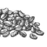 BioGourmet Lentil Beluga Demeter, 250g