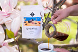 Spring Bloom Filter | 250 g fuldkorn | fair og bæredygtig | friskstegt | kaffebønner 100% Arabica | speciel kaffe | 19 gram Cafe Roastery…