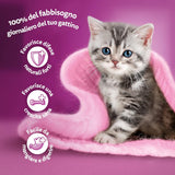 Whiskas Junior Classic våd kattefoder, 13 x 4 x 85 g