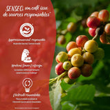 Senseo Kaffeepads Doux Sanft 54 ​​​​pads