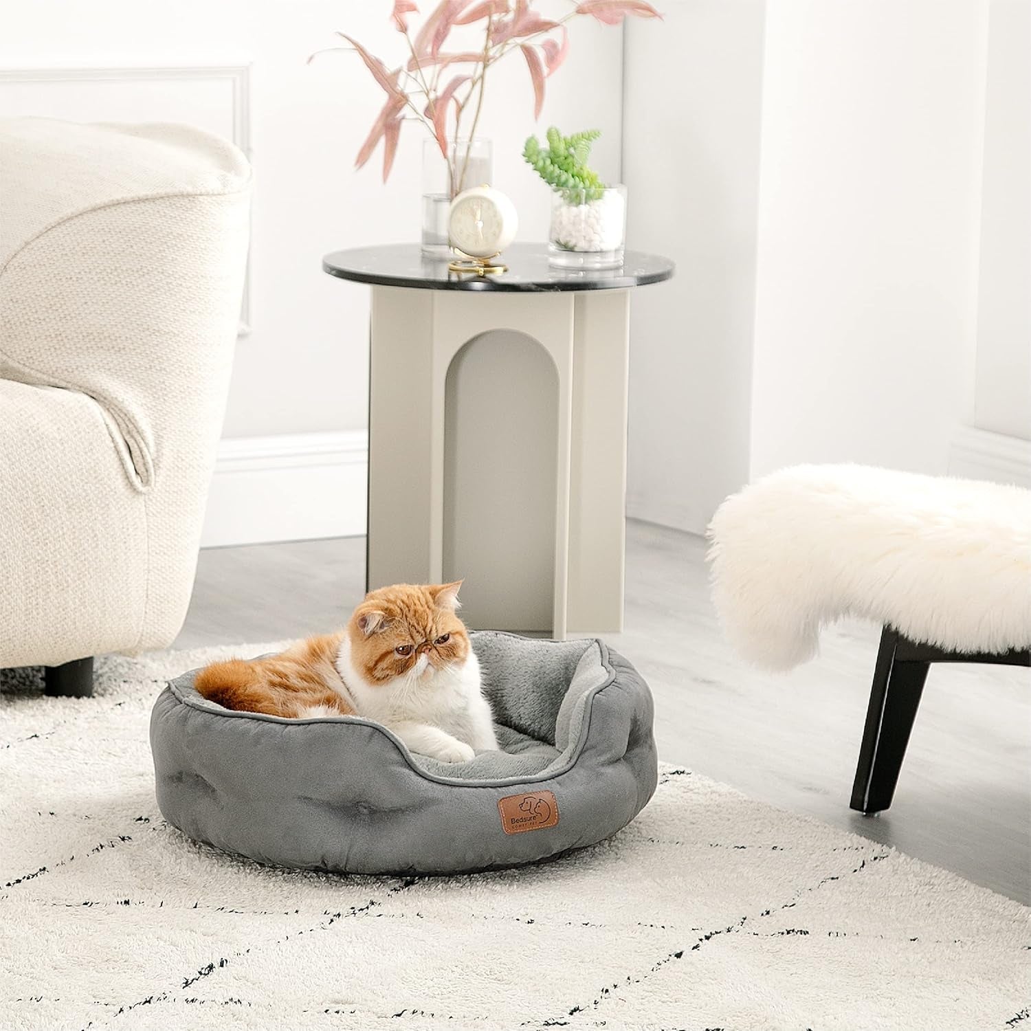 Senge og sofaer, tæpper og møbler, kæledyr, katte, senge til katte, katte - senge, madrasser