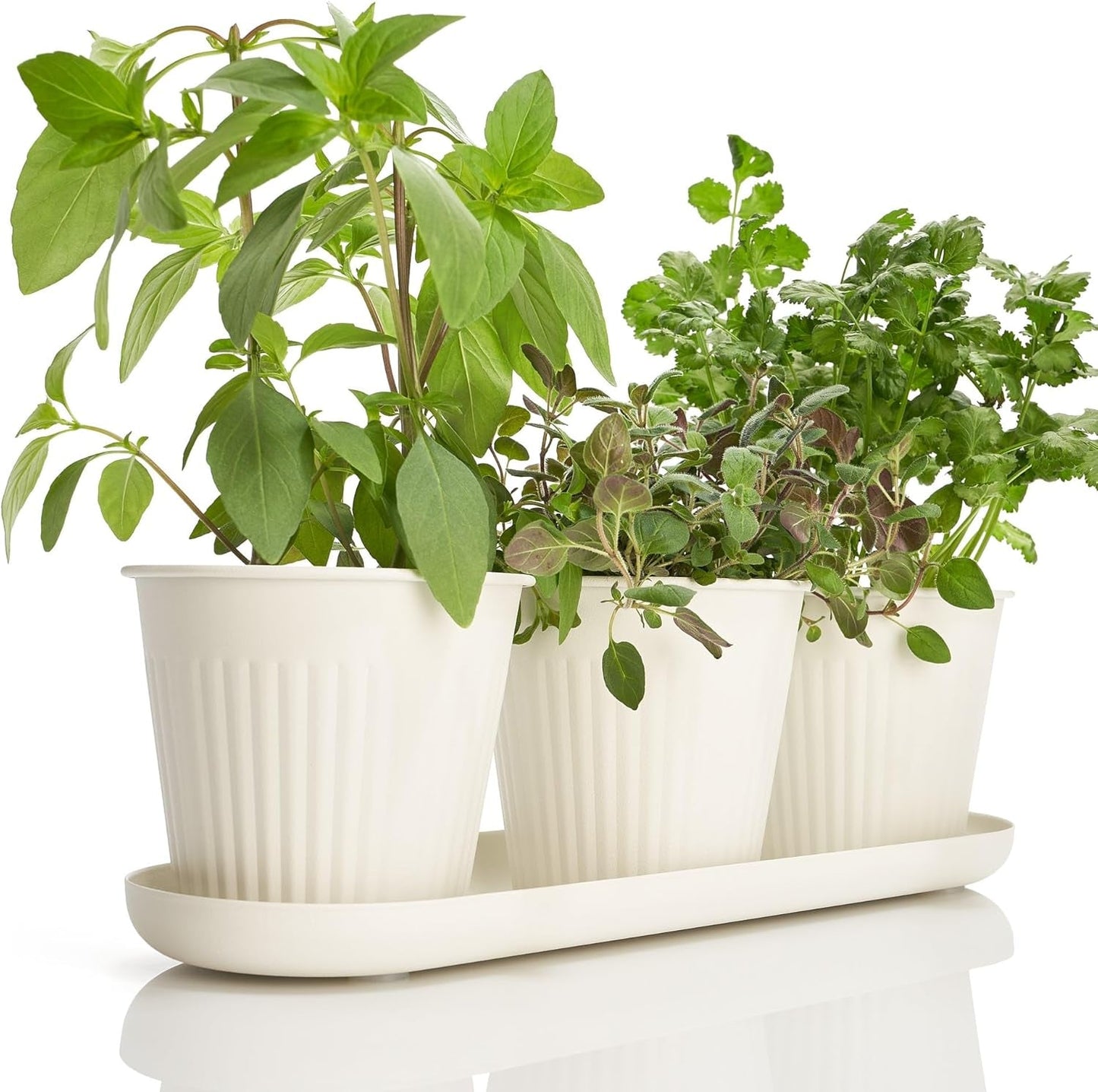 Sæt med 3 smukke urtehavekrukker, perfekt til enhver vindueskarm eller køkkenbord, et moderne dekorativt haveplantesæt med bakke og...