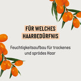 Guhl Fresh & Fruity Shampoo - Indhold: 250 Ml - Hårtype: Normal Bruser og bad Guhl