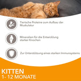 IAMS Delights Kitten Nassfutter - Multipack Katzenfutter mit Hunn i sauce, højkvalitets Futter for Junior Kätzchen af ​​1-12 Monate, 12 x 85 g