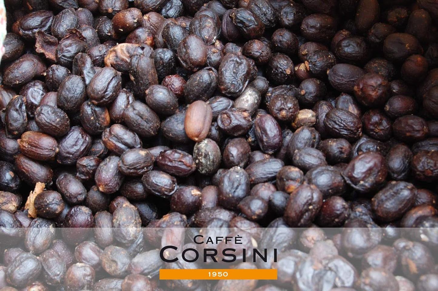 Caffè Corsini - Kaffeebohnen 3x250g Compagnia Dell'Arabica Sæt Guatemala/Äthiopien/El Salvador, Einzelner Ursprung, i alt 750g