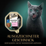 Sheba våd kattefoder, delikatesse i laksegele, 2 x 11 x 85g