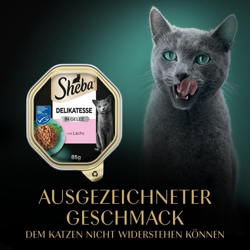 Sheba våd kattefoder, delikatesse i laksegele, 2 x 11 x 85g