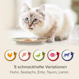 BEAPHAR – Renal Diet Mixed Package – Fuldfoder til katte med kronisk nyresvigt – Til understøttelse af nyrefunktionen – 6 x 100 g