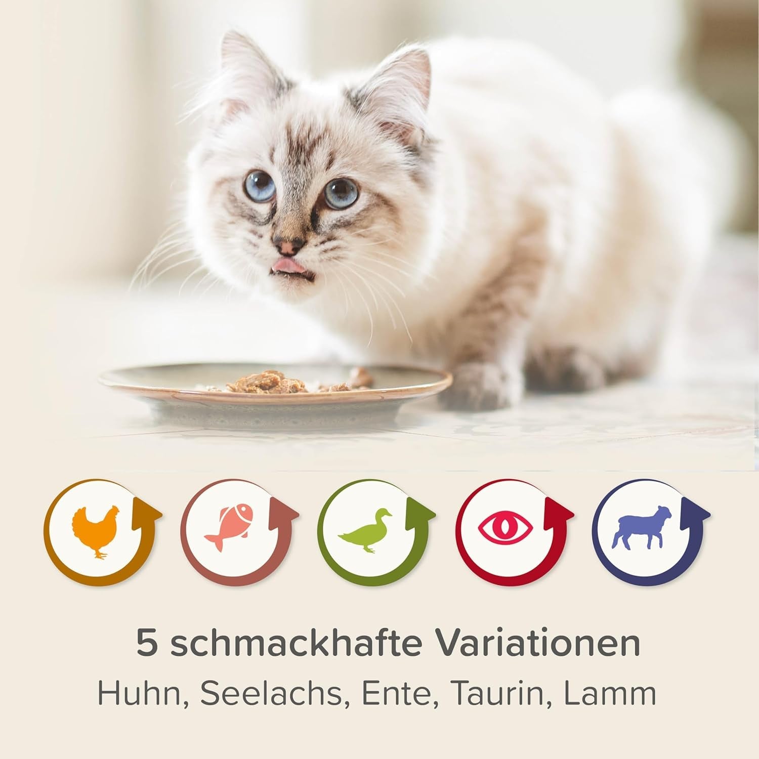 BEAPHAR – Renal Diet Mixed Package – Fuldfoder til katte med kronisk nyresvigt – Til understøttelse af nyrefunktionen – 6 x 100 g
