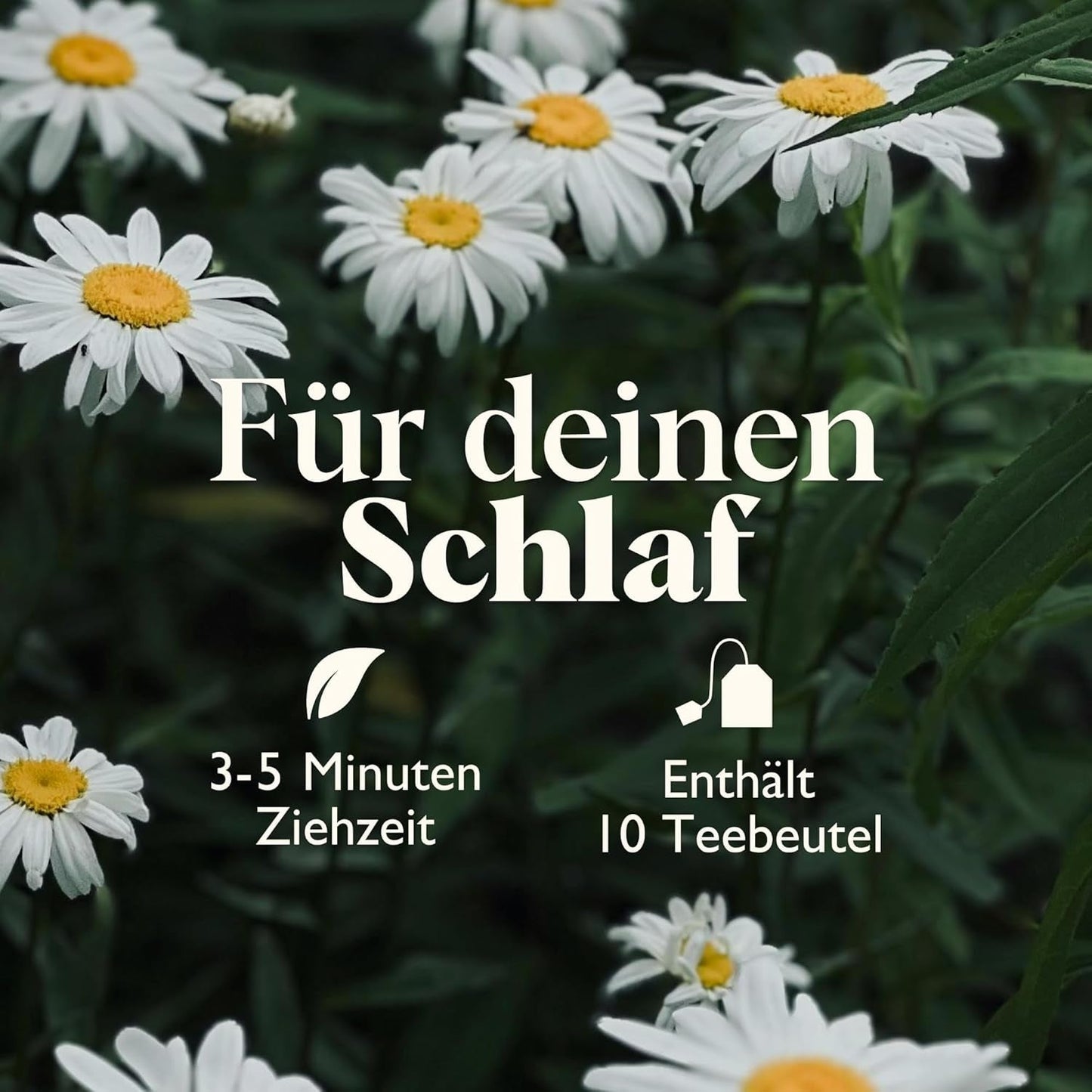 Twinings SWEET DREAMS Kamillete med honning, appelsin og limeblomst - Sød blanding af urteteer til naturlig søvnforbedring, 12-pak (10 teposer hver)