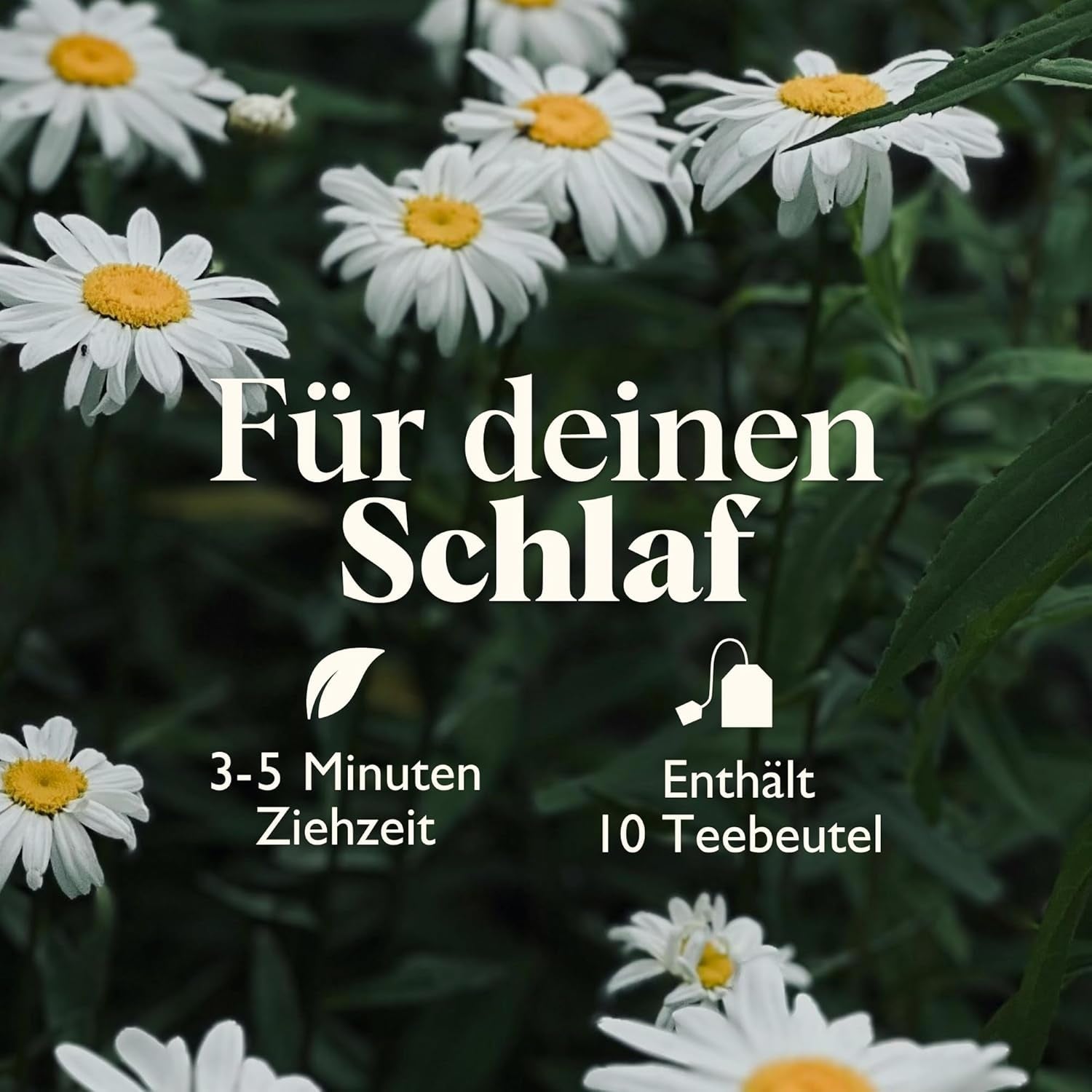 Twinings SWEET DREAMS Kamillete med honning, appelsin og limeblomst - Sød blanding af urteteer til naturlig søvnforbedring, 12-pak (10 teposer hver)