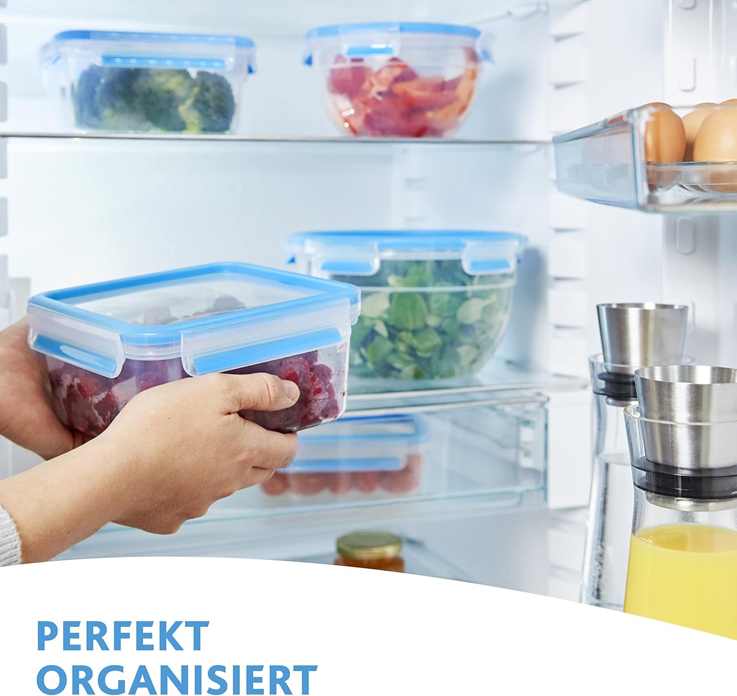 Emsa 515585 Madklip & Luk | 3 dele sæt | plastik | gennemsigtig / grøn | 0,55 / 1 / 2,2 liter Naty Shop madopbevaringsbokse