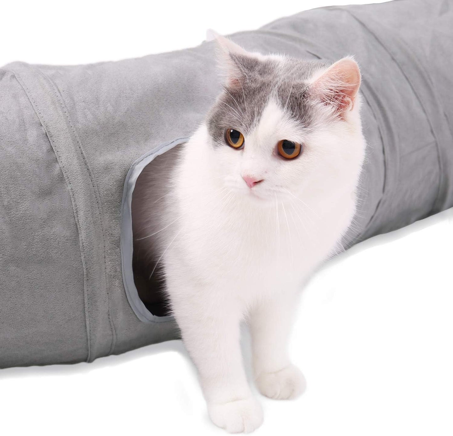 Kæledyr, katte, katte - senge, madrasser, legetøj, tunneller