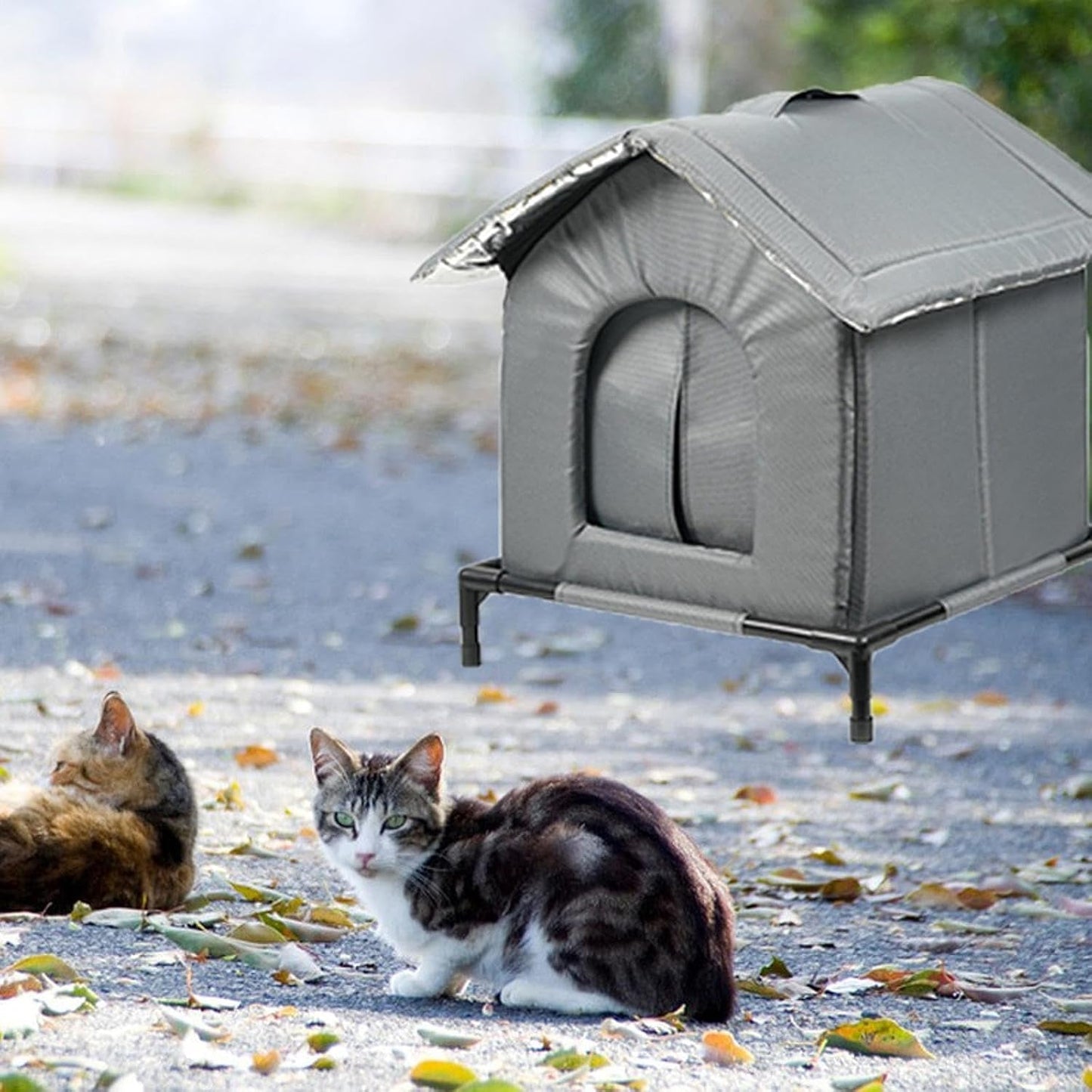 Tæpper og møbler, kæledyr, huler og huse, katte, senge til katte, katte - senge, madrasser