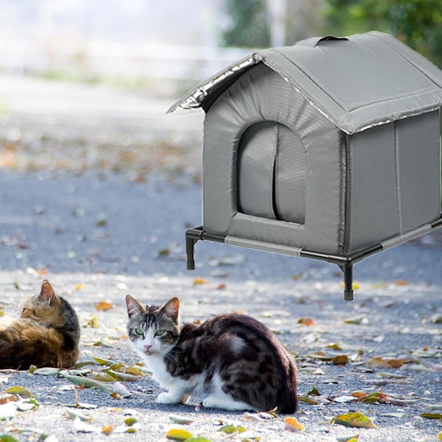 Tæpper og møbler, kæledyr, huler og huse, katte, senge til katte, katte - senge, madrasser
