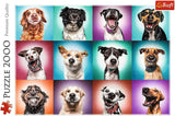 Trefl TR27119 Funny Dog Portraits II 2000 brikker, førsteklasses kvalitet, til voksne og børn fra 12 år Puslespil, farvet puslespil Naty Shop