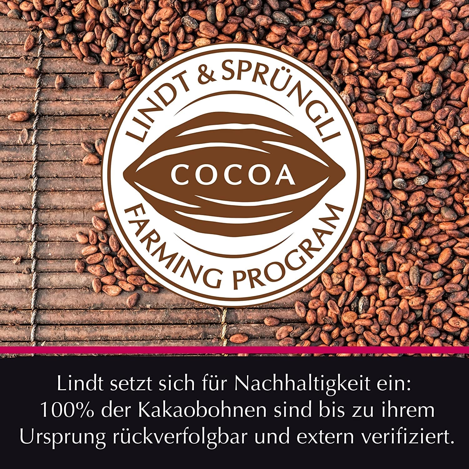 HEJ Saltet karamelchokolade | Bar 100g | Mælkechokolade med saltet karamelfyld | Chokoladebar | Chokoladegave (pakke med 5)