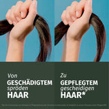 Herbal Essences Hårreparationsmaske med arganolie 300ml. Fra skadet hår til glattere og mere skinnende hår. Intensiv pleje. Med ingredienser af naturlig oprindelse. Vegansk Naty Shop hårmaske