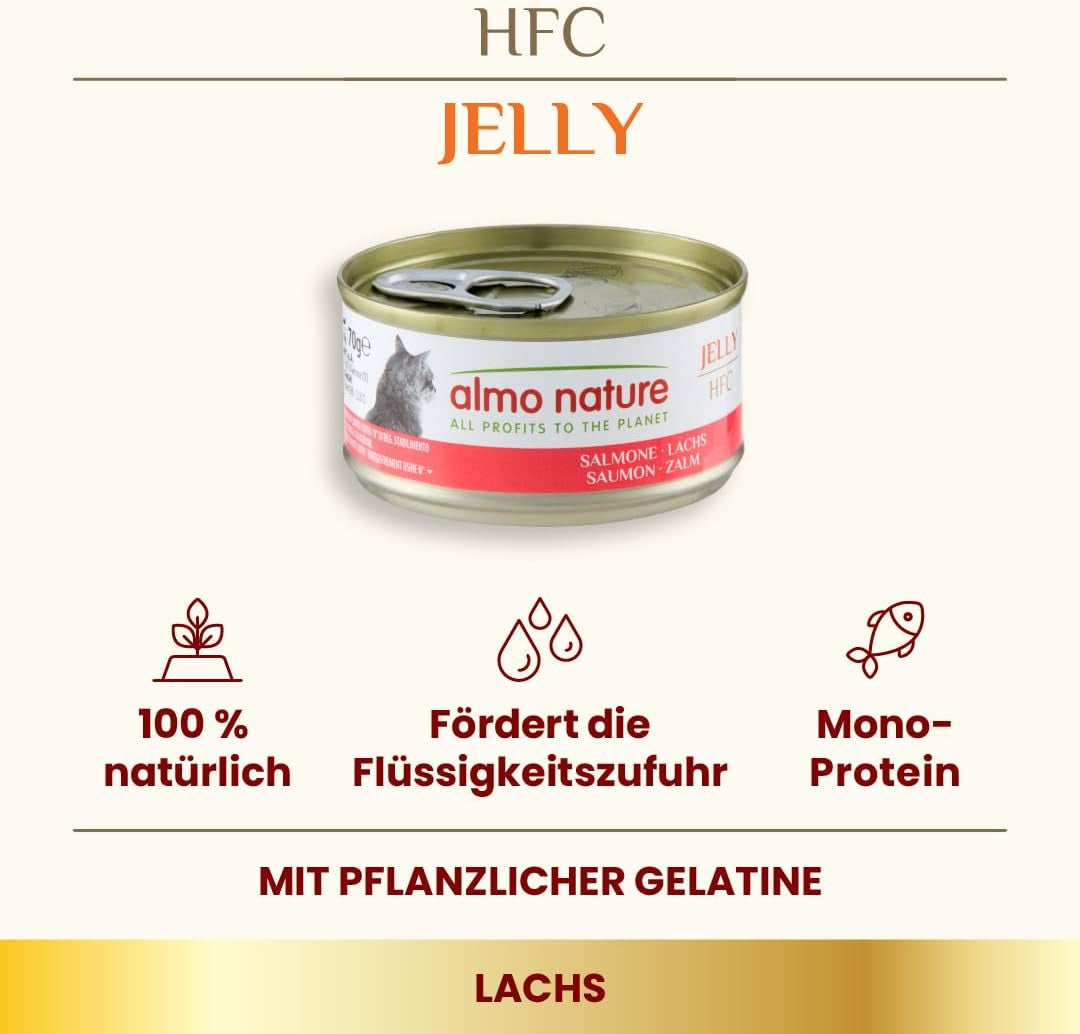 Almo Nature HFC Jelly - Nassfutter für ausgewachsene Katzen - Lachs - Human Grade, Glutenfri & Monoprotein - 6 x 70g