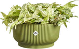 elho Vibes Fold Bowl 25 - Indendørs urtepotter - 100% genbrugsplast - Ø 24,9 x H 12,1 cm - Grøn/Ferngrün