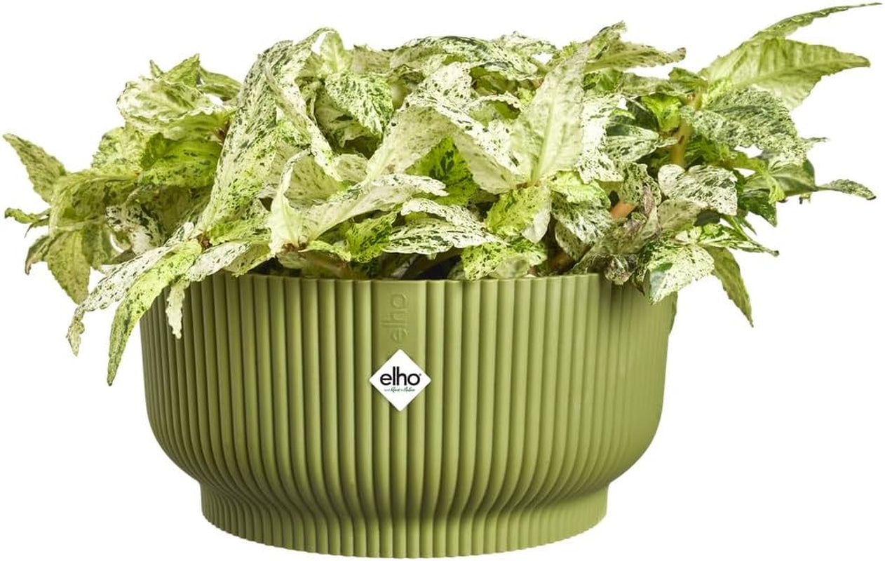 elho Vibes Fold Bowl 25 - Indendørs urtepotter - 100% genbrugsplast - Ø 24,9 x H 12,1 cm - Grøn/Ferngrün