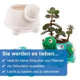 Baker Ross FX594 Turtle Keramiske Plantekasser - Pakke med 2, Mal din egen plantekasse