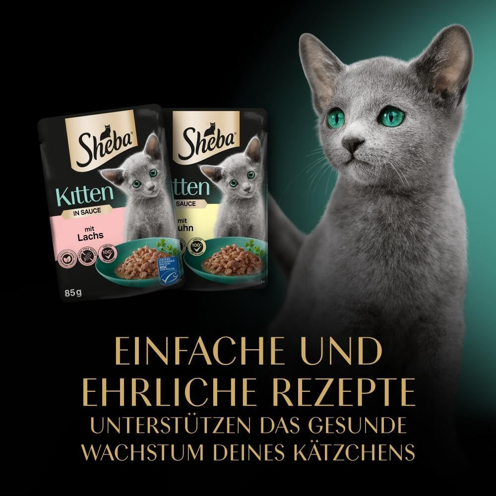Sheba vådfoder til killinger, i diverse poser, med laks (MSC) og kylling i sauce, multipak 40x85g