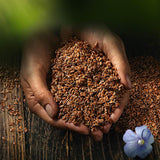 Biocentrale hele hørfrø | 7 x 400 g økologiske hørfrø | Ideel til yoghurt, müsli og brød | Alternativ til psyllium, hampefrø og chiafrø