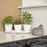 Sæt med 3 smukke urtehavekrukker, perfekt til enhver vindueskarm eller køkkenbord, et moderne dekorativt haveplantesæt med bakke og...