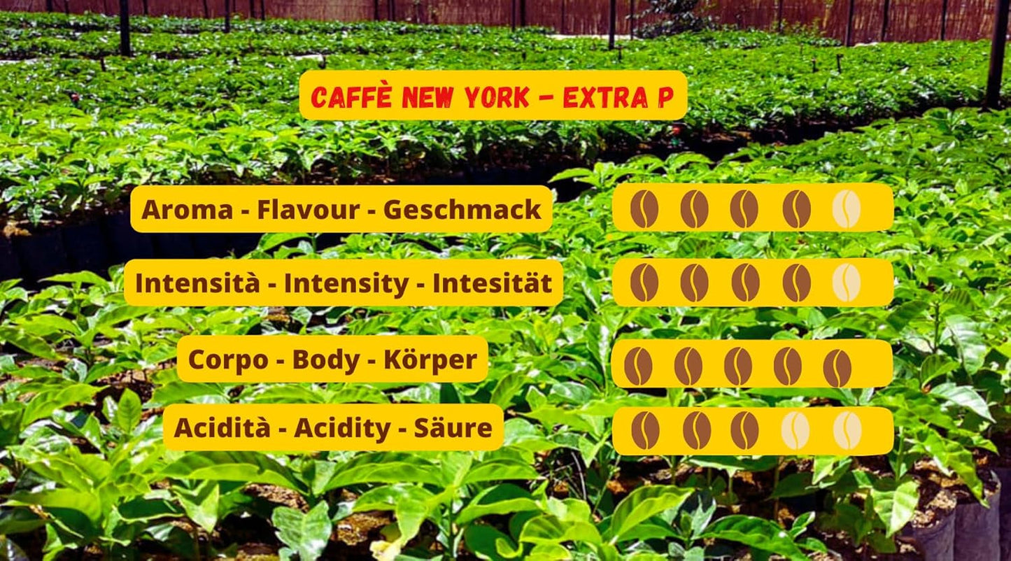 New York Coffee - EXTRA P - Kaffebønner, stærk og afgørende smag, Arabica og Robusta bønner, til maling, italiensk espresso, barblanding - premium kvalitet siden 1930 - 1 kg, bønner