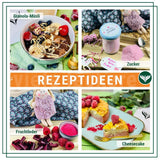 Azafran hindbær - frysetørrede hindbærstykker 250g Dehydrerede produkter Naty Shop