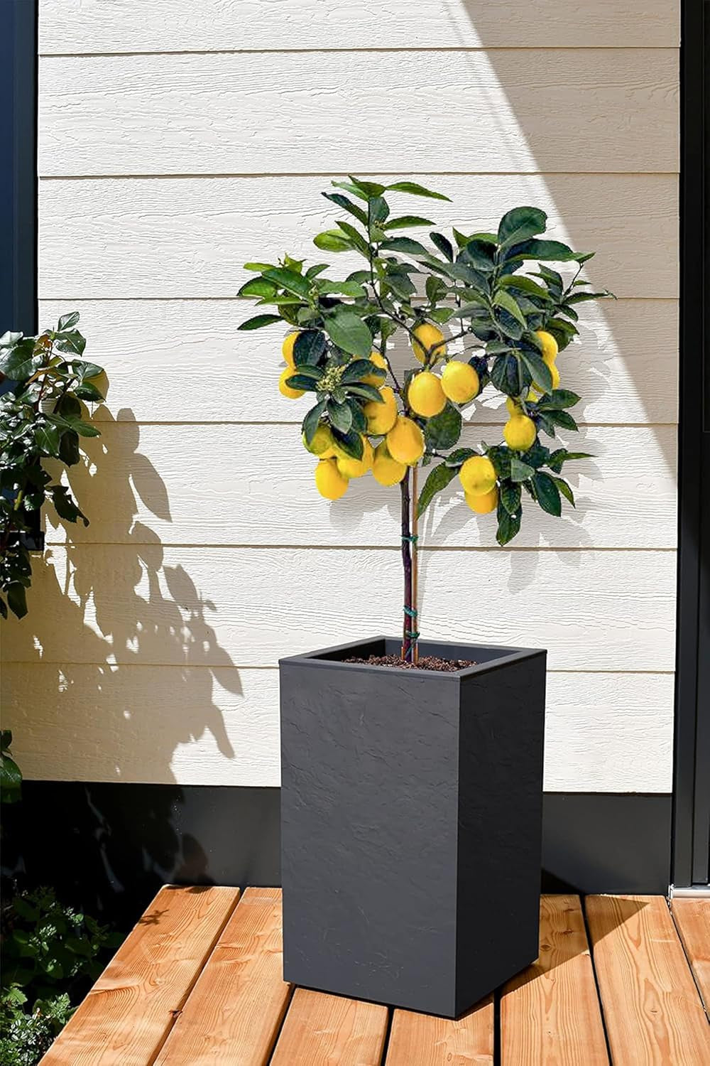 Volcania Up plantekasse, firkantet, høj, 36 l, stenlook, enkeltvæg, vandtank, 29,5 x 29,5 x 49,5 cm, antracitgrå