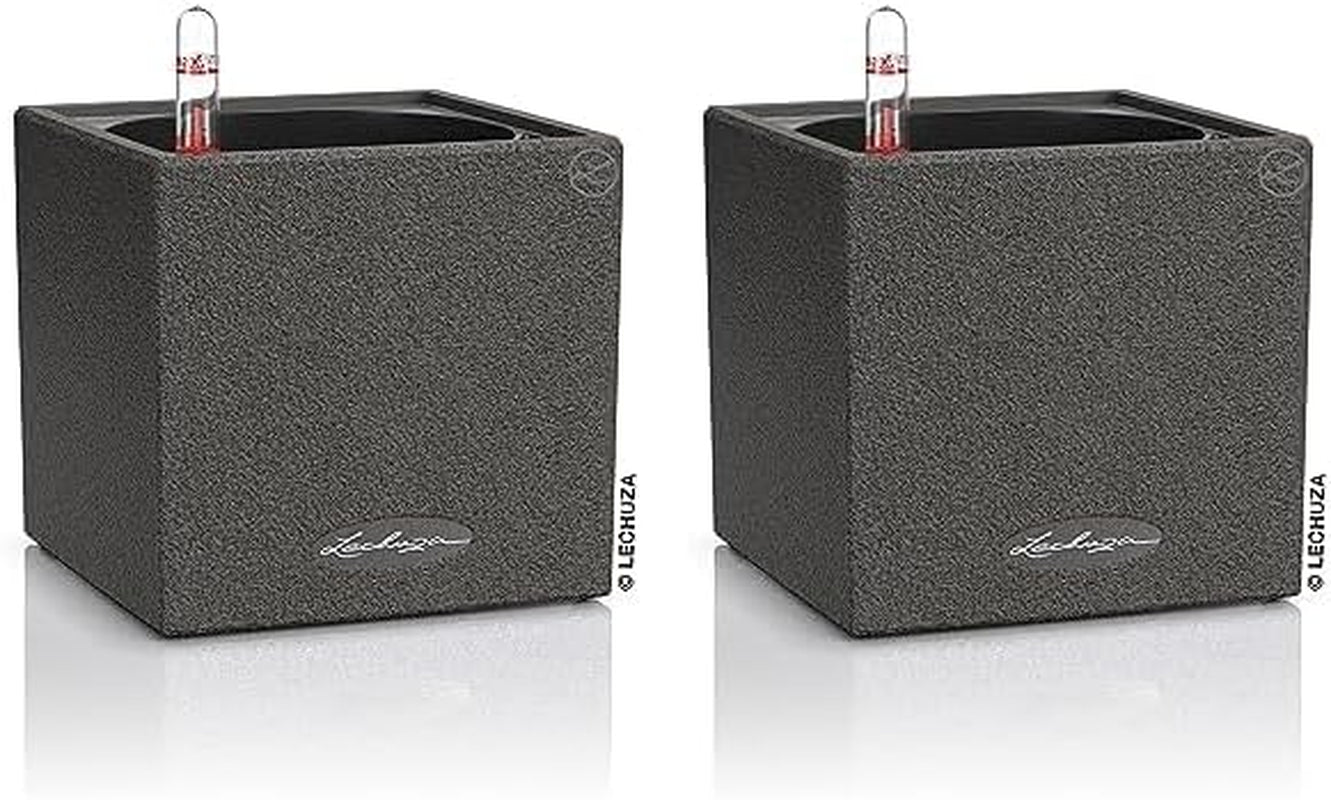 Urteterning af høj kvalitet LECHUZA CANTO Sten 14 med stavvandingssystem, stengrå