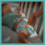 Pampers bleer til babyer str. 5 (11-16 kg), 24 stykker, op til 12 timers lækagebeskyttelse