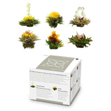 Feelino Elegant 6 stykke blandet æske - Feelino hvide teblomster i en lækker smags- og gaveæske med 6 forskellige hvide te-roser, individuelt vakuumpakket, 1 stk.