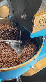 Cafe Quindio Specialty Coffee - 100% Arabica kaffebønner, Colombia - med naturlige noter af sød vanilje (250 g) - ideel til filterkaffe, portafiltermaskiner eller fransk presse