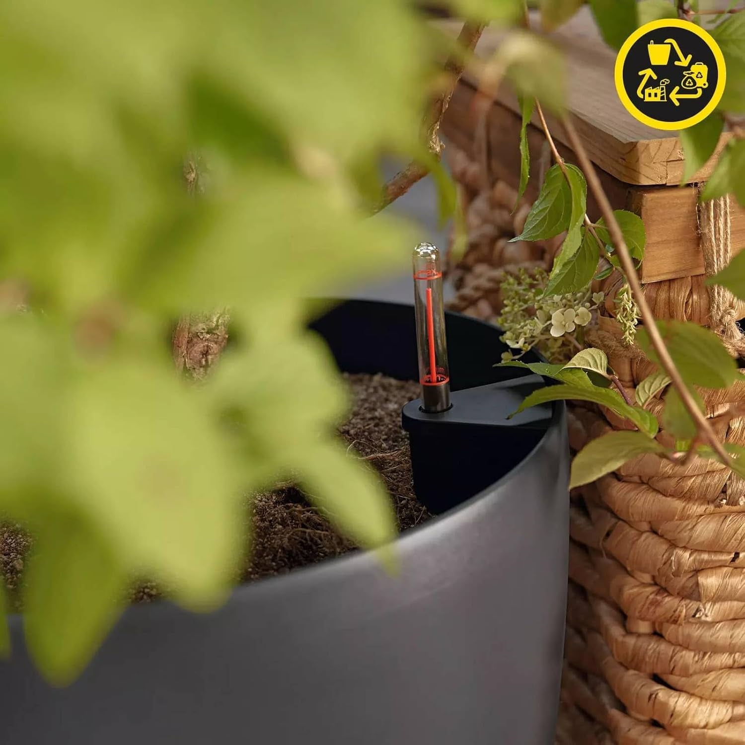 Plantekasse LECHUZA Classico Color ECO 60 Mørkegrå | Plantekasse med vandingssystem og vandstandsindikator | Fremstillet af 100 % genbrugsplast | Mat finish | Ø 60 x 55,5 cm | 18955
