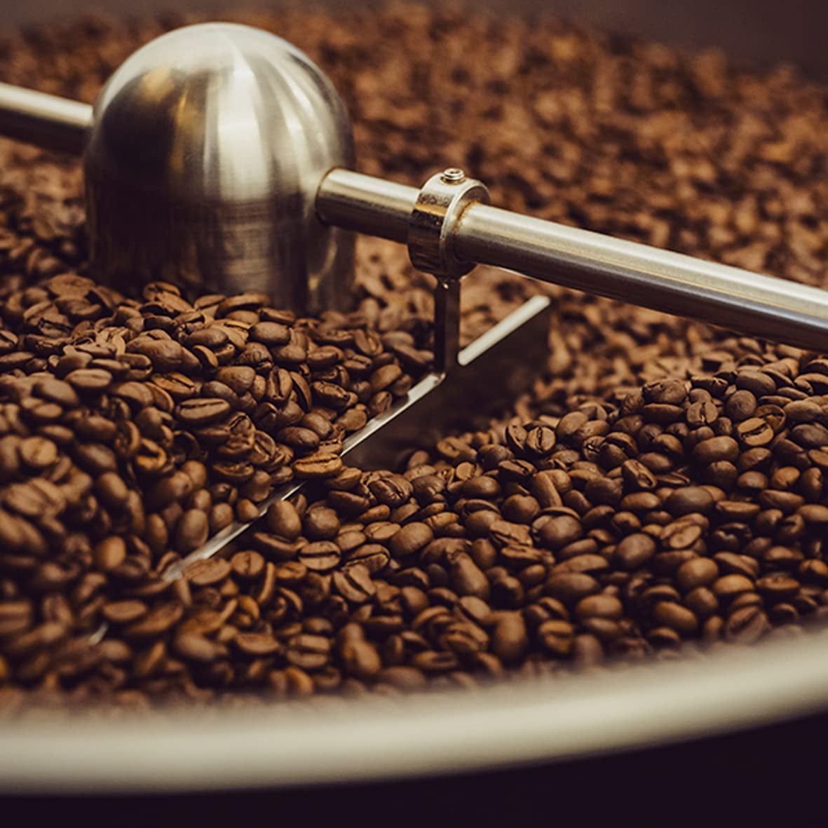 - Mokka 1000g | Strong coffee for Schümli and espresso from fully automatic machines | Helristede kaffebønner | Med 90% Arabica bønner