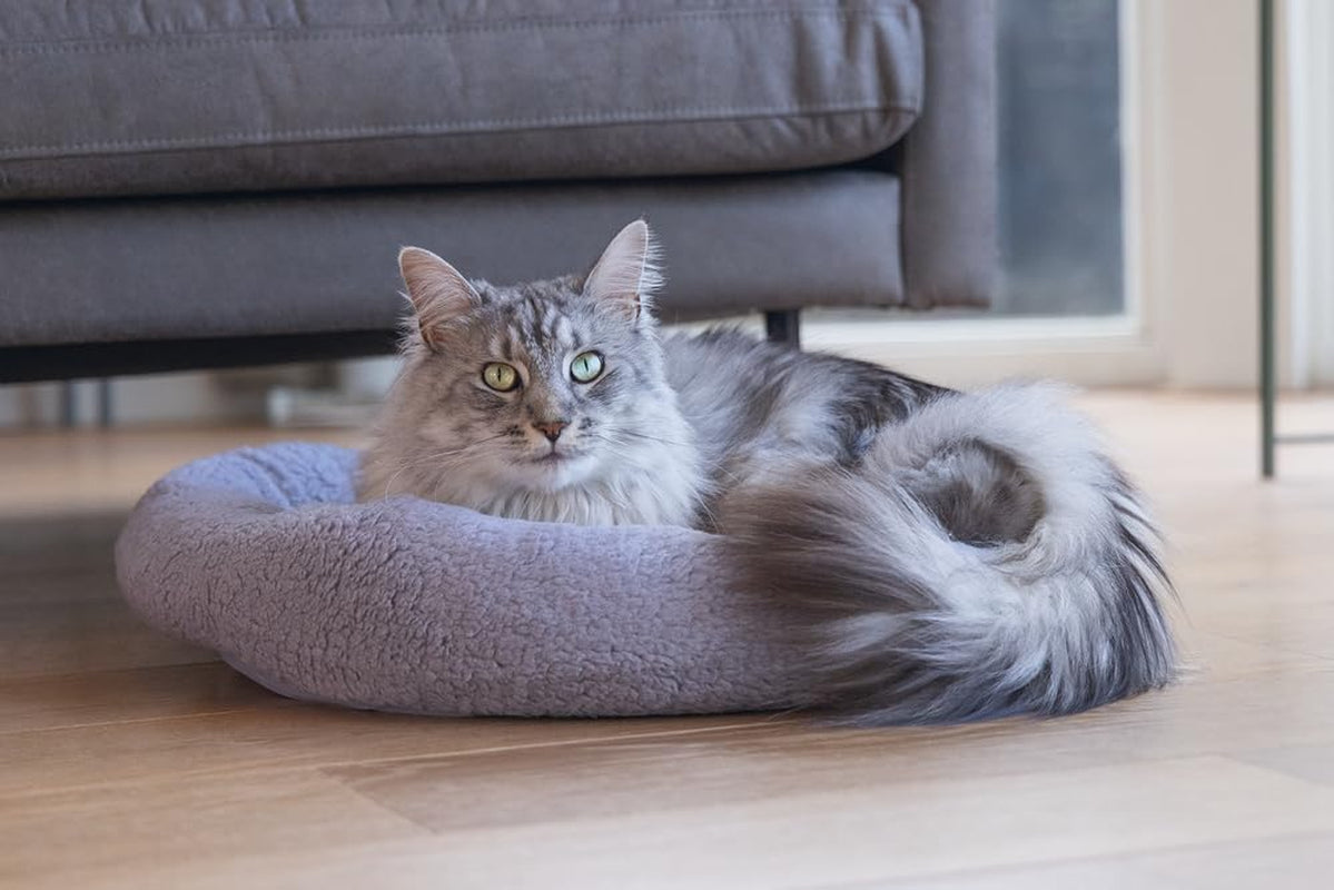 Senge, tæpper & møbler, kæledyr, katte, kattesenge, Katte - senge, madrasser