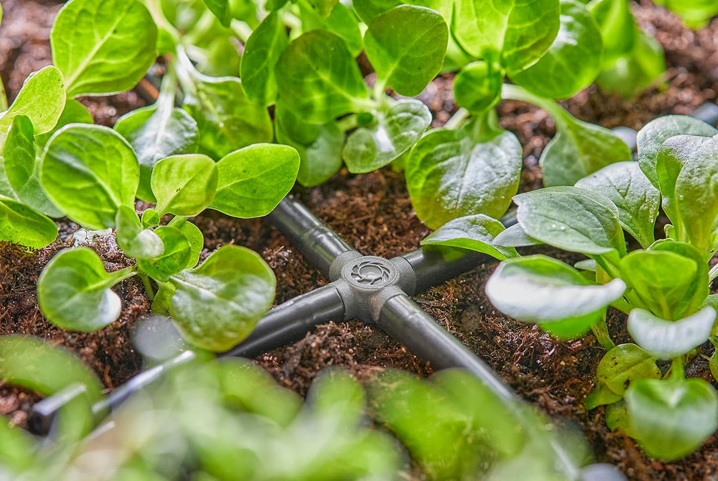 Gardena Micro-Drip-System - Krydstilslutning 4,6 mm (3/16 tommer): Tilbehør til grenfordeling og drypledninger, knækfri installation med nem og fleksibel forbindelsesteknologi (13214-20)