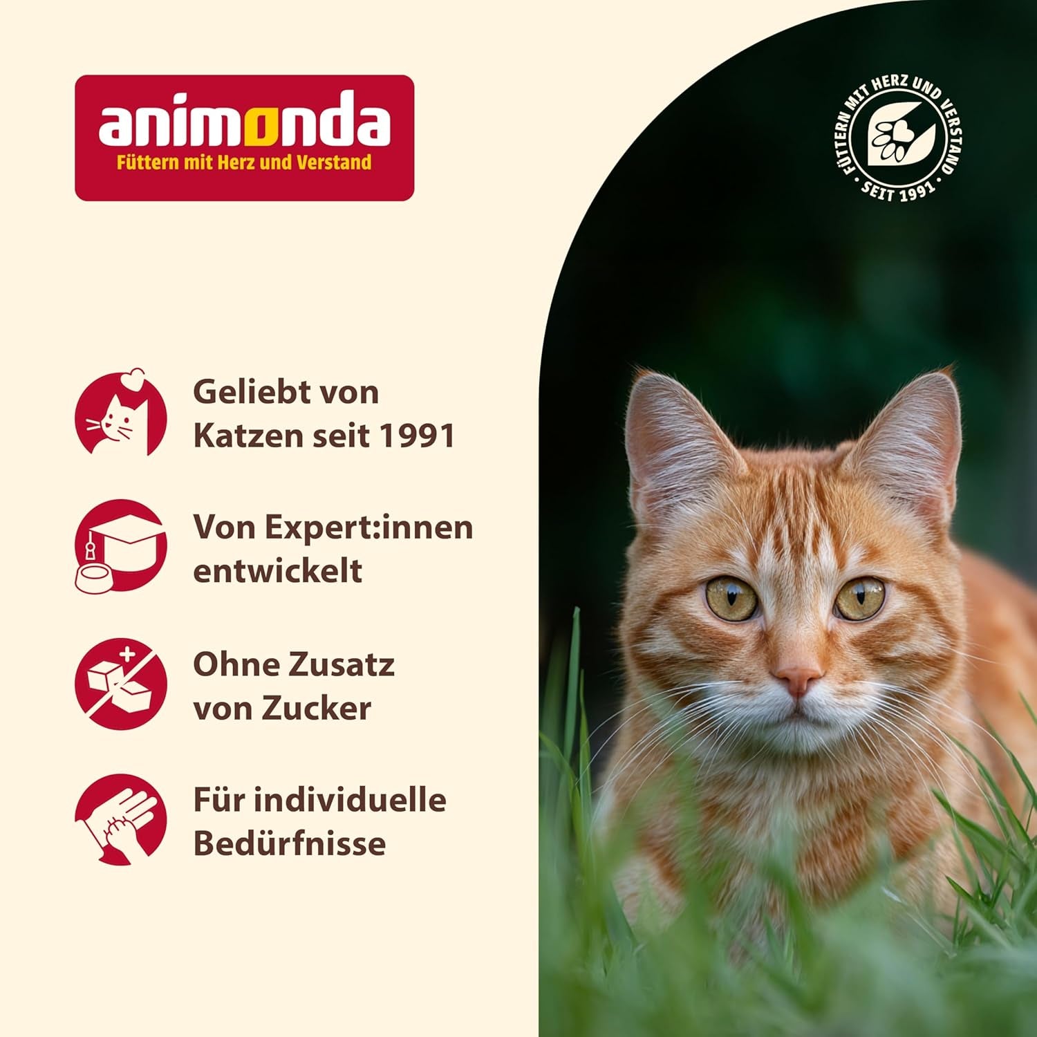 Animonda Carny Senior Vådfoder til katte med oksekød + kylling + ost (6 x 200 g), kornfrit og sukkerfrit vådfoder til katte fra 7 år og ældre, med friske og kødfulde ingredienser