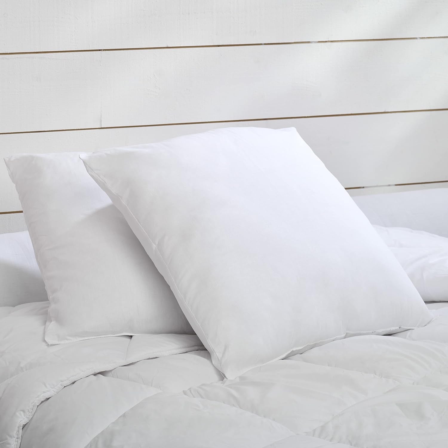 Blå Câlin sæt med 2 puder med fast komfort "Alaska", superfyld, 100% bomuld Percale konvolut, hvid, 65 X 65 Cm Firkantet Naty Shop Standard Puder Firkantet Form 65 X 65 Cm